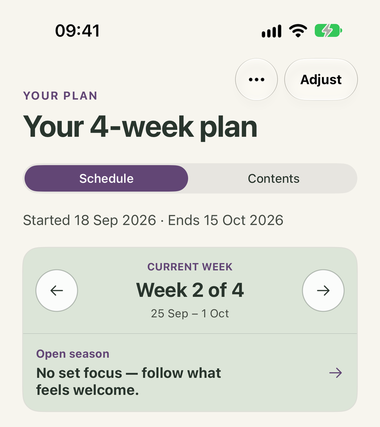 Momentum Plan header showing a four-week plan and the Adjust button.